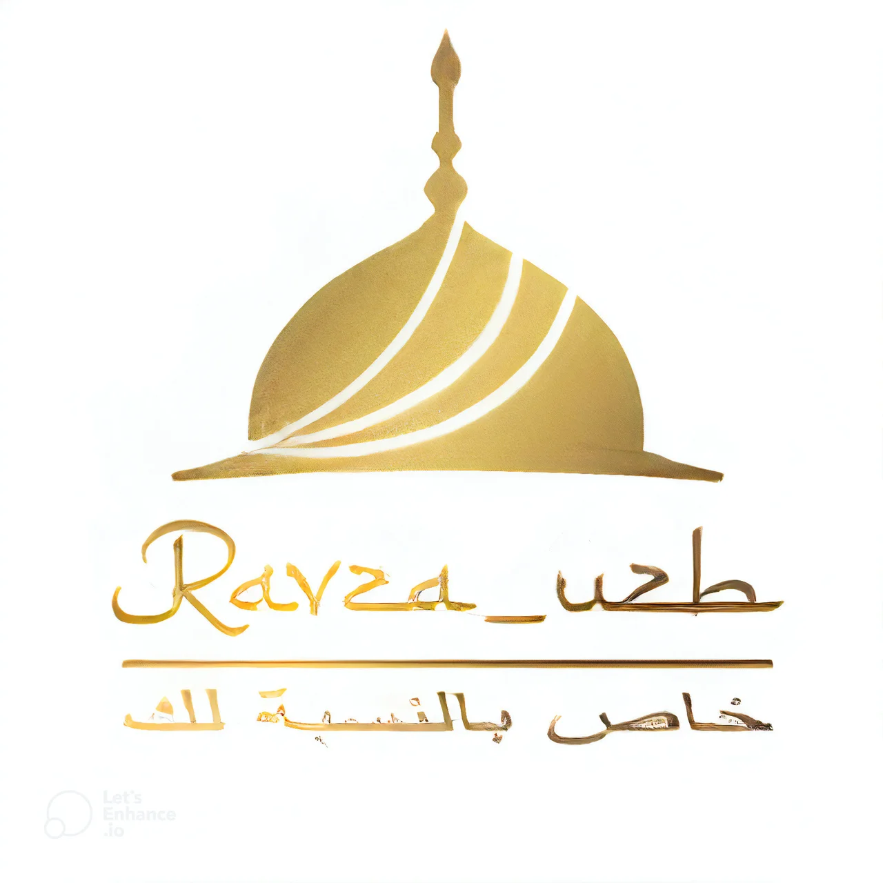 RAVZA logo