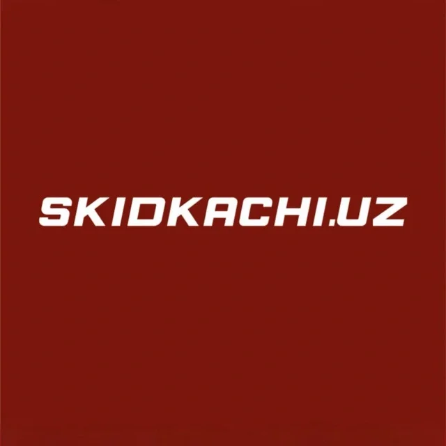 Skidkachi logo