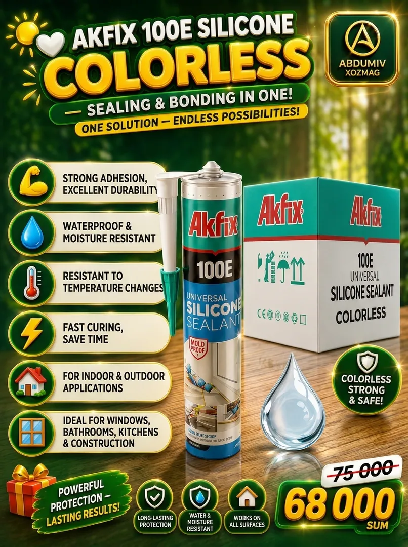 Akfix 100E Rangsiz Silikon